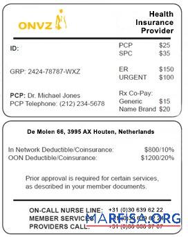 Realistic Netherlands health insurance card sample
